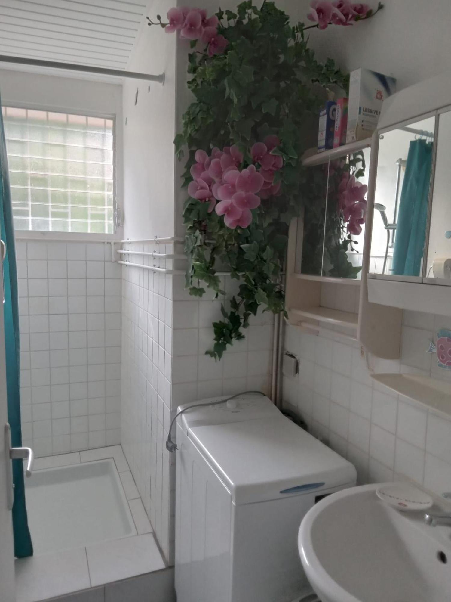 Les Orchidees Apartment แซ็งแตนน์ ภายนอก รูปภาพ